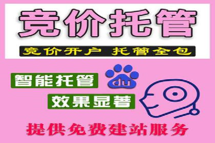 竞价托管服务在sem推广中的应用与效果展示