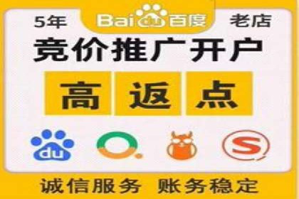 竞价托管服务在sem推广中的应用与效果展示